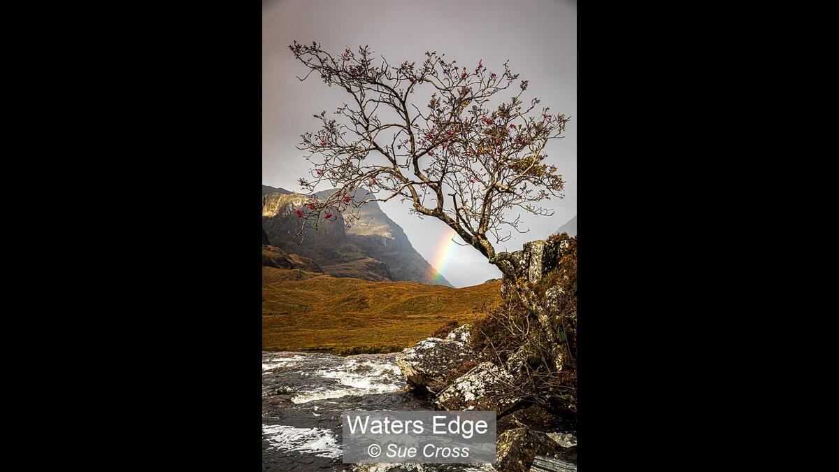 Waters Edge